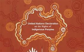 Declaration on the Rights of Indigenous Peoples