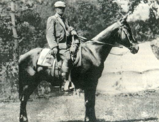 Путешествие на четверке лошадей.