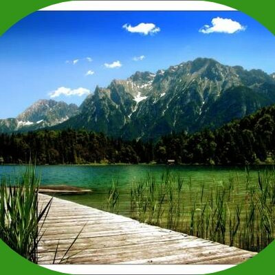 Timeline: ქართული ენა და ლიტერატურა