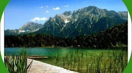 Timeline: ქართული ენა და ლიტერატურა