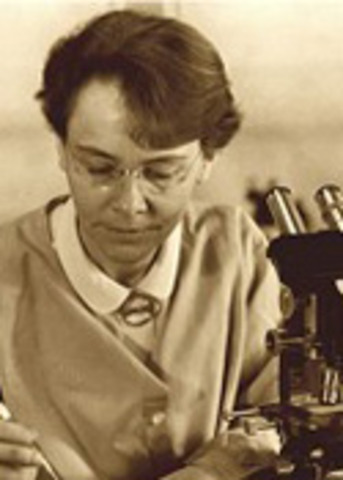 Barbara McClintock is born