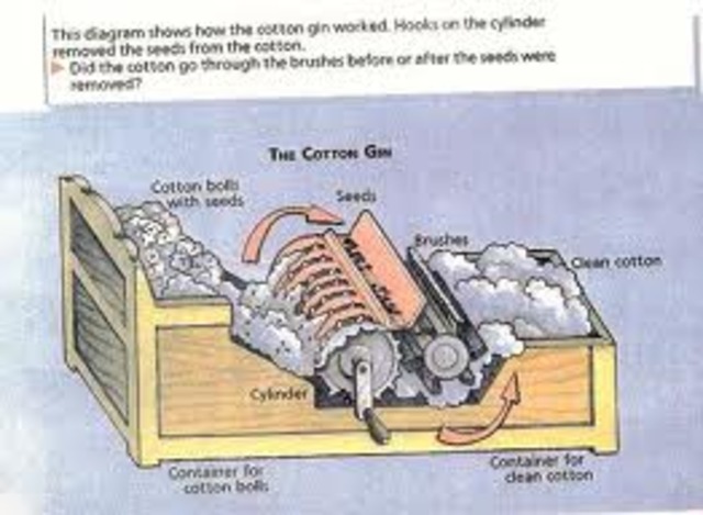 invinted the Cotton Gin