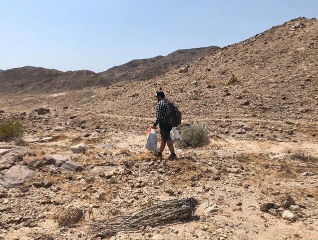 Prevention through deterrence