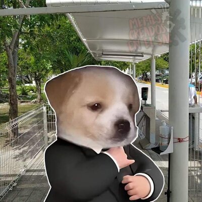 Timeline: Línea del tiempo Alejandro