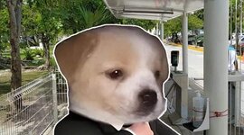 Timeline: Línea del tiempo Alejandro