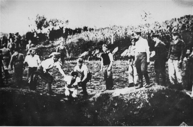 Ustasa (Croatian fascist) guards force prisoner into a pit to be shot. Jasenovac concentration camp. Yugoslavia