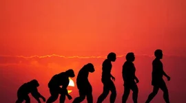 Timeline: EVOLUCIÓ HUMANA