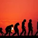 62088328 la evolución humana