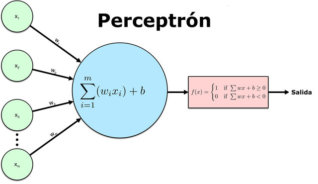 Perceptrón