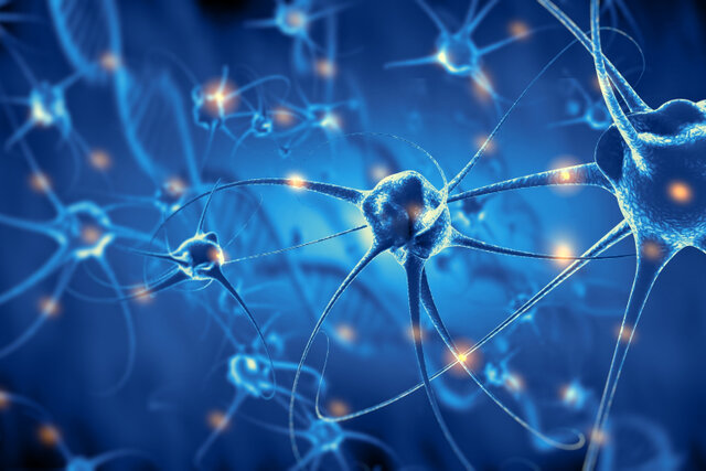 Primer campo de trabajo