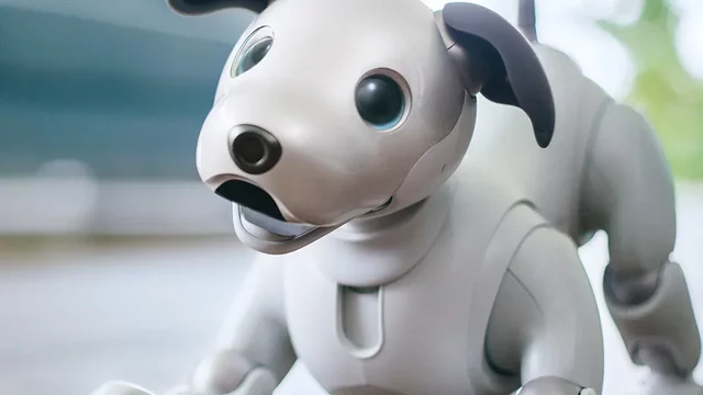 AiBO
