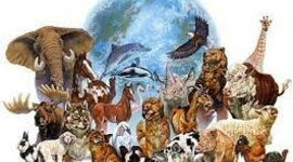 Timeline: დედამიწა ჩვენი სახლია