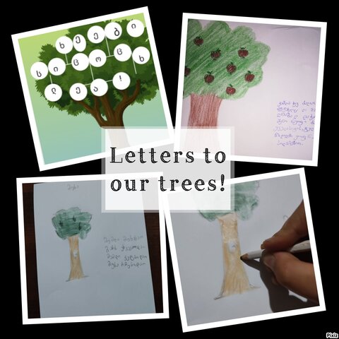 შეხვედრა2