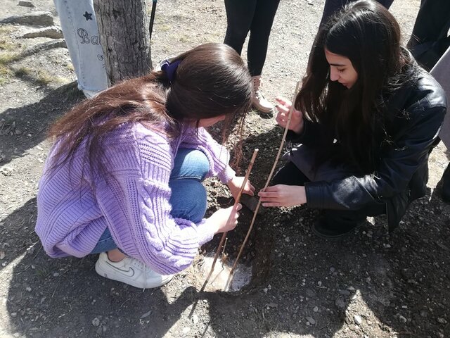 სამუშაო4