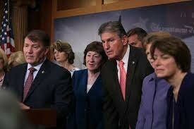 Senate rejects four immigration reform proposals