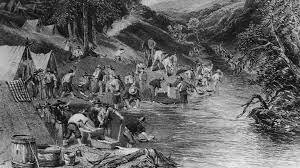 Gold Rush reaches Peak