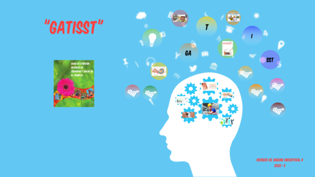 Resolución 2844 de 2007 y 1013 de 2008 (GATISST)