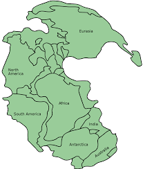 Primera Pangea