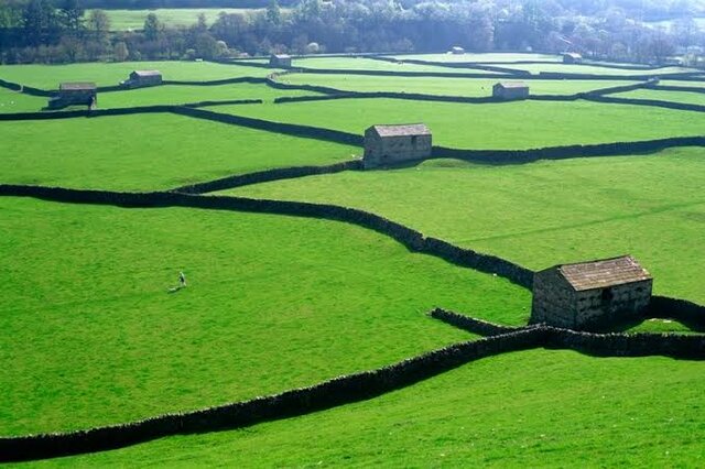 El sistema norfolk, Los Enclosure Acts