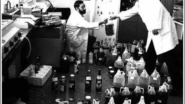 Síndrome tóxico del aceite de colza