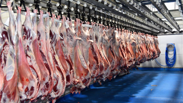 Siglo XVIII - XX d.C