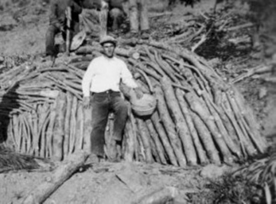 ABUELO DE LIDIA TIENE QUE DEJAR A SU FAMILIA