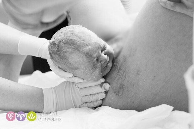 NACE EL ABUELO DE LIDIA