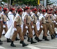 Creación cuerpo de regulares