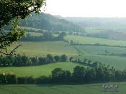 Sistema Norfolk,  Enclosure Acts