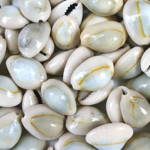 Cowry sells