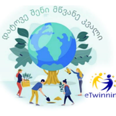 Timeline: დატოვე შენი მწვანე კვალი