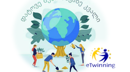 Timeline: დატოვე შენი მწვანე კვალი