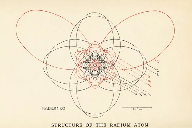 Contribution to Science