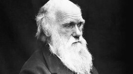 Timeline: Charles Darwin (1809-1882)