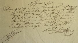 Timeline: Katona József élete