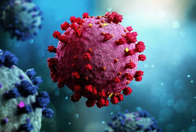 EPIDEMIJA COVID 19