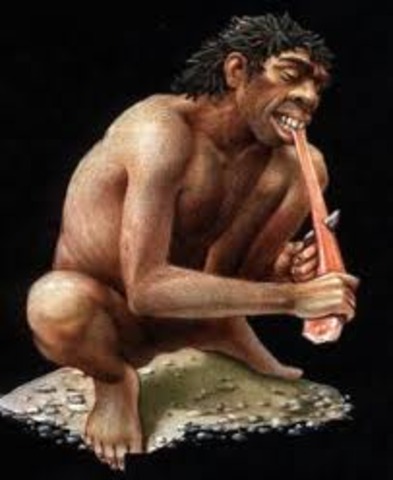 Homo Antecessor