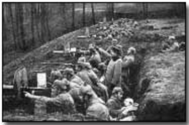 Life in the trenches