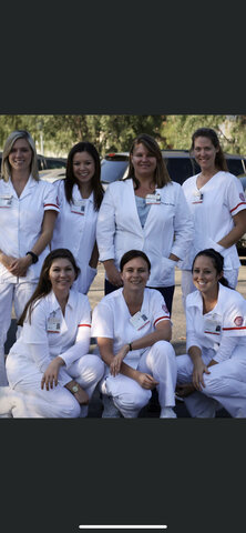 Began Palomar Nursing Program