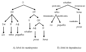 Estructura sinéctica