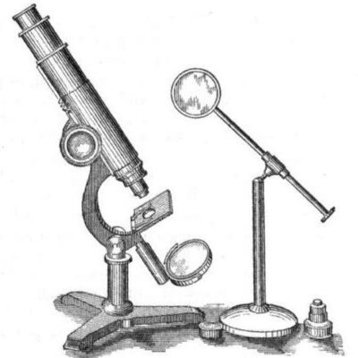 Timeline: История создания микроскопа