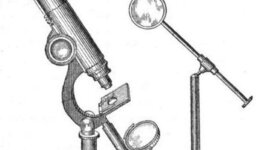 Timeline: История создания микроскопа