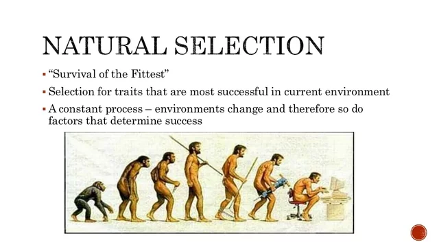 Darwin's study of natural selection