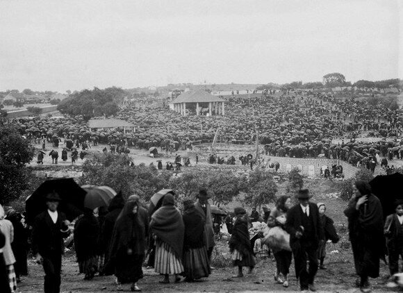 Chegada de Ricardo Reis a Fátima