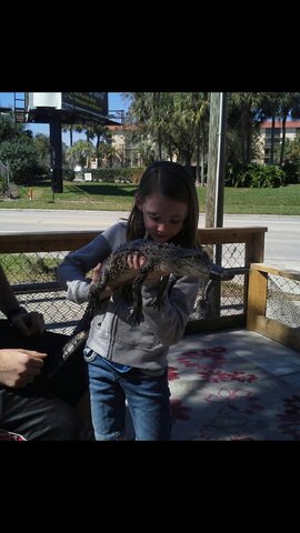 I held an alligator for the first time