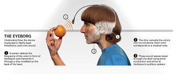 Neil Harbisson- cíborg-  unión permanente entre su cerebro y la cibernética.