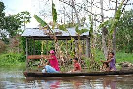 1940-1950: Desplazamiento forzado y violencia contra comunidades indígenas en el departamento del Amazonas debido a la explotación de recursos naturales.