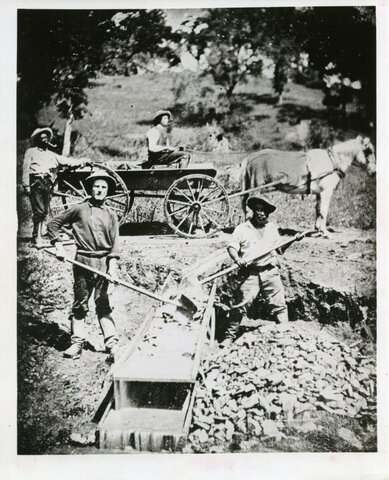 The Gold Rush