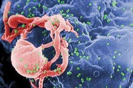 First Report of Aids