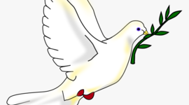 Timeline: Evolucion de la educacion de la paz.